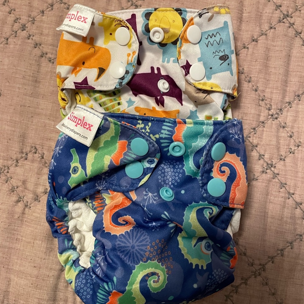 Newborn All In One AIO Blueberry and Thirsties